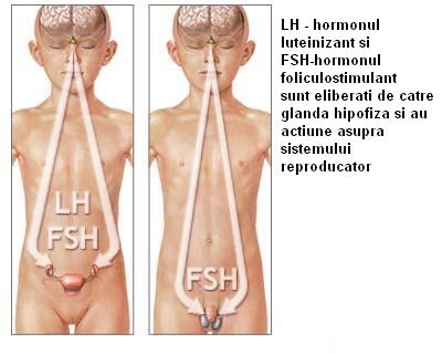 Hipersecretia de hormoni hipofizari